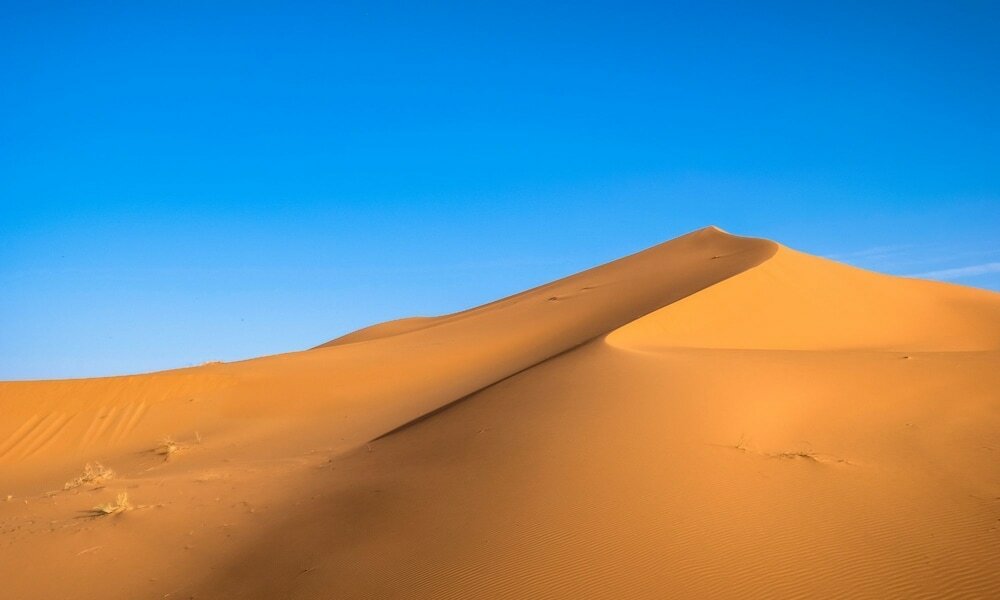 Фото Berber Palace Hotel