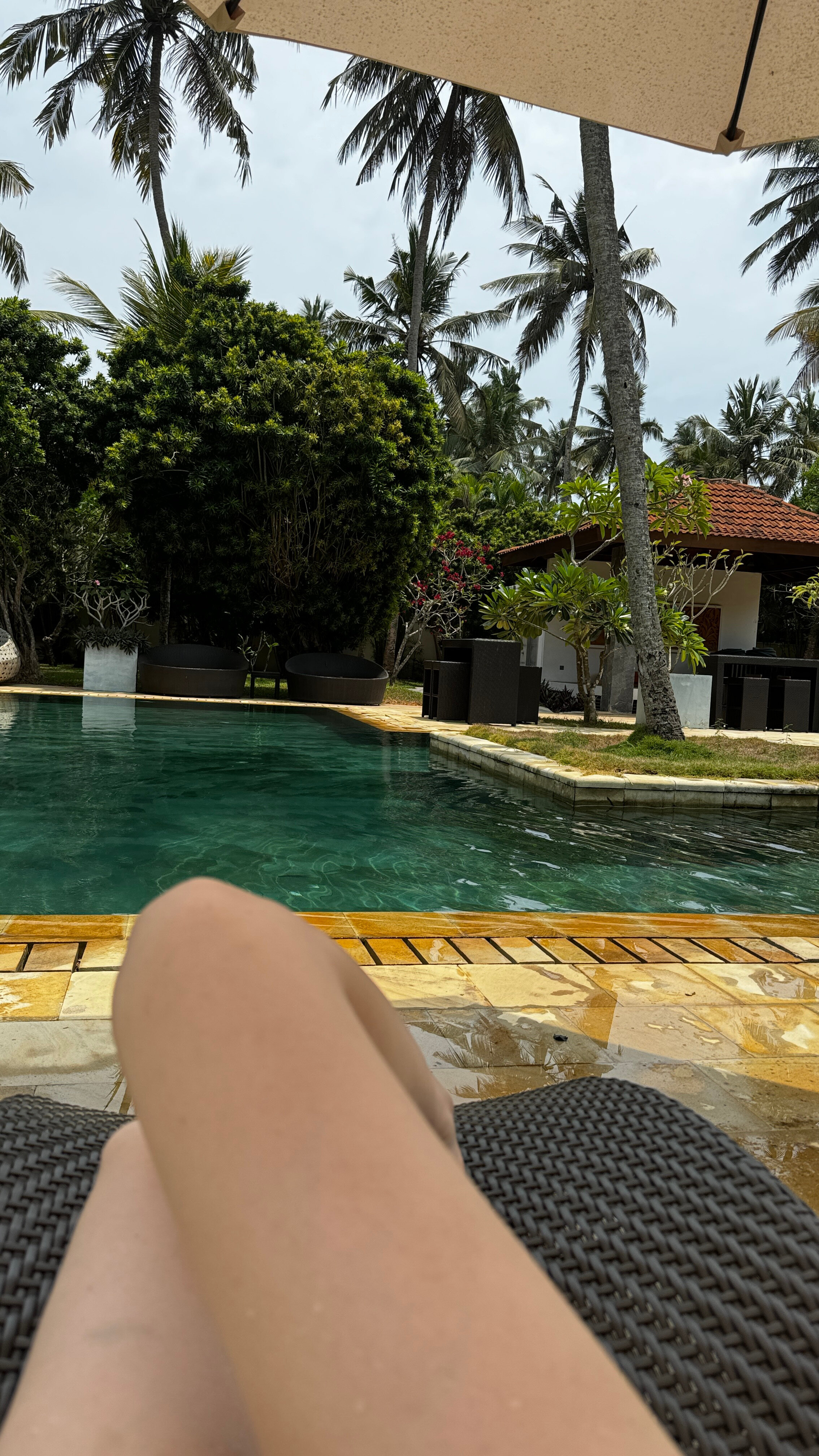 Фото Serene Pavilions