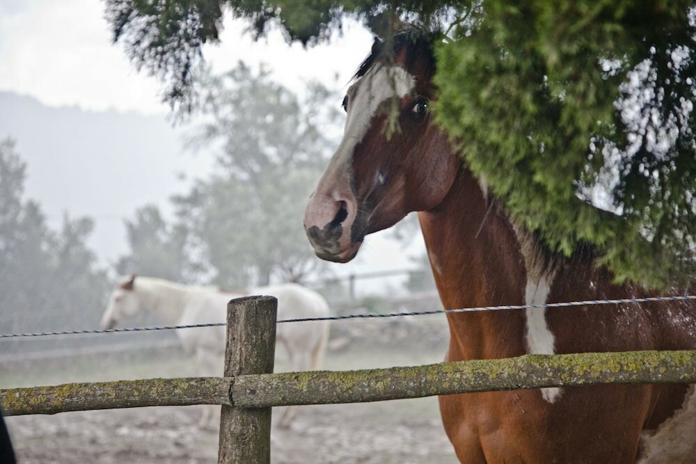 Фото Montelucci Country Resort & Agriturismo di Charme