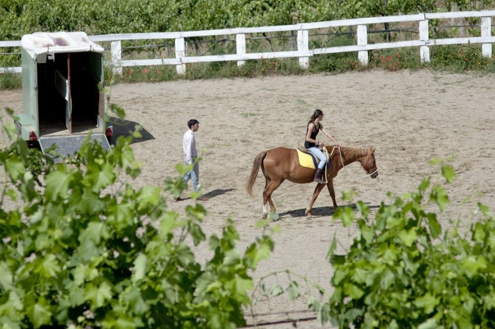 Фото Montelucci Country Resort & Agriturismo di Charme