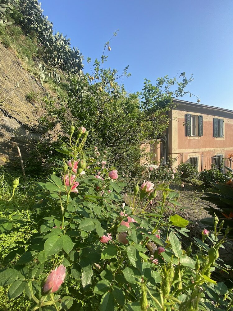 Фото Pensione Sorriso