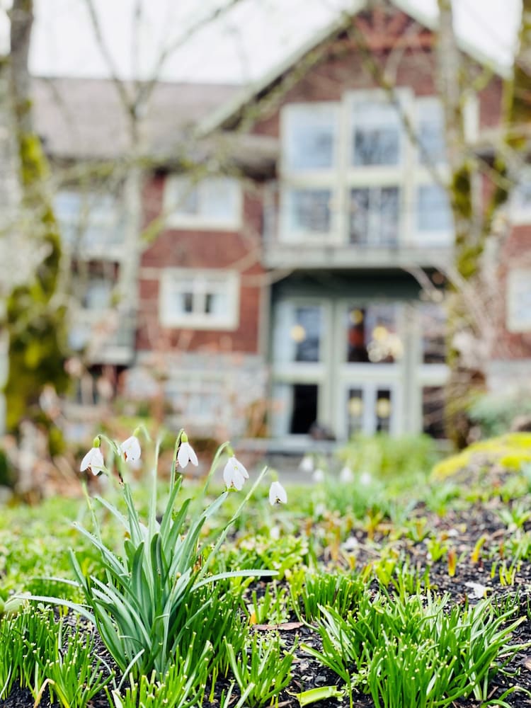 Фото The Old House Hotel & SPA