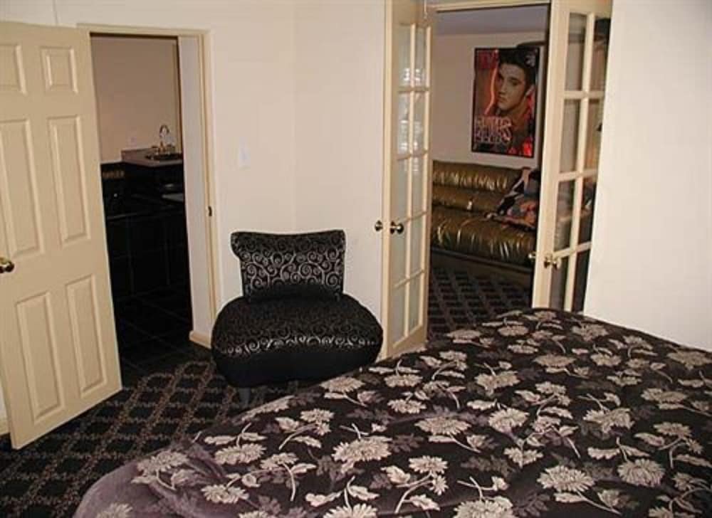 Фото Summer Nites