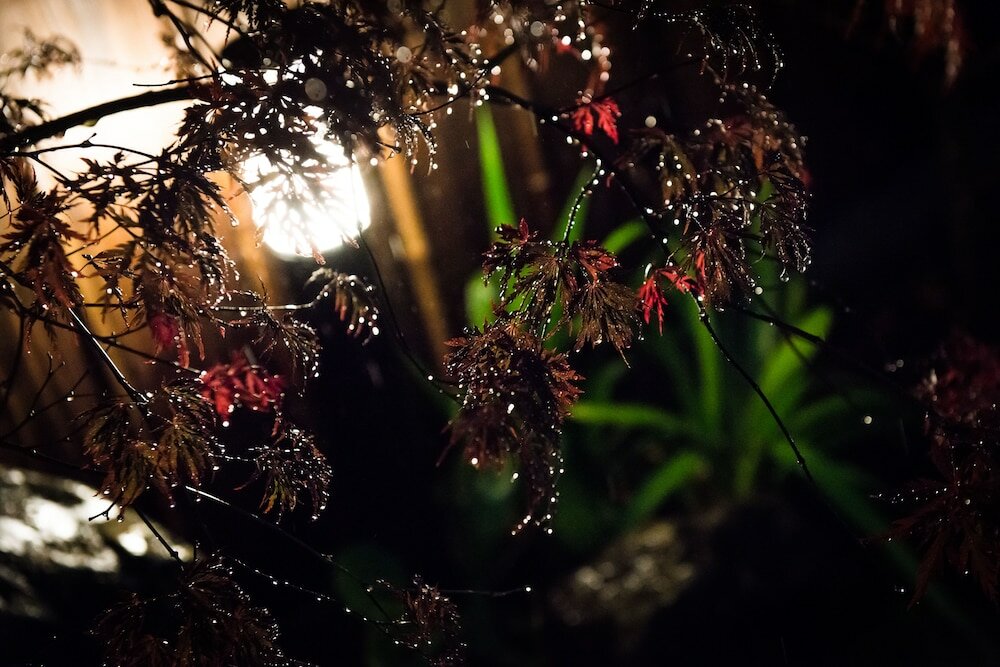 Фото Hostel Kyoto Kizuna