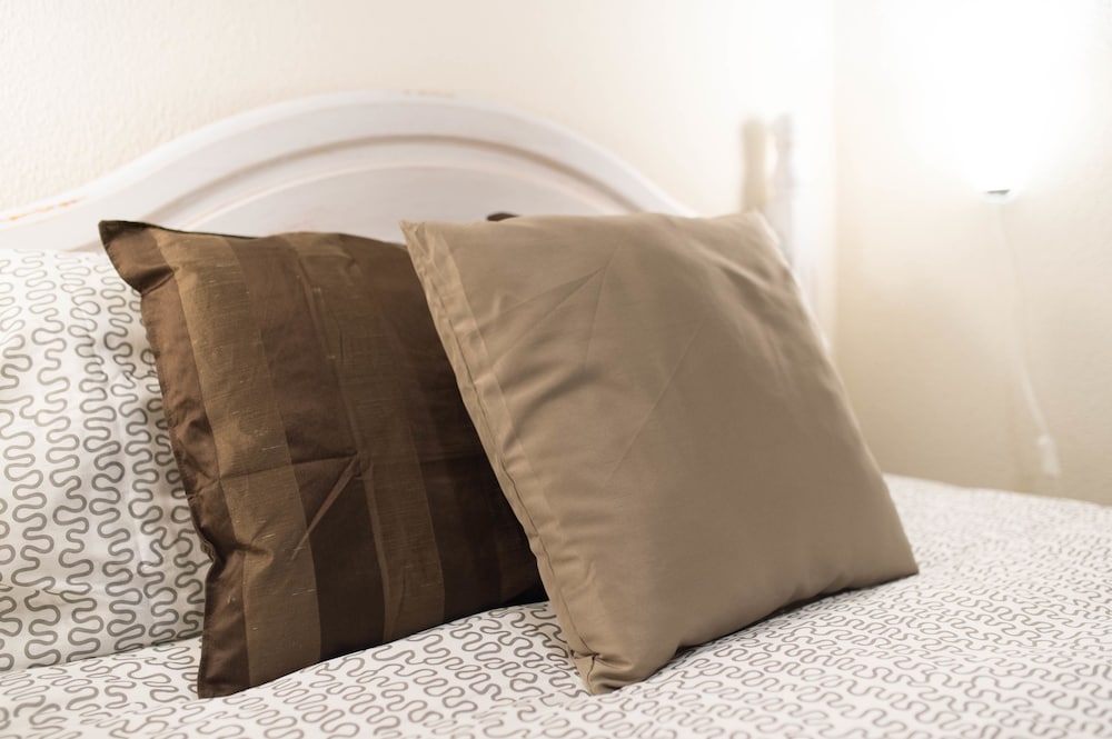 Фото Alfaqueque Apartment