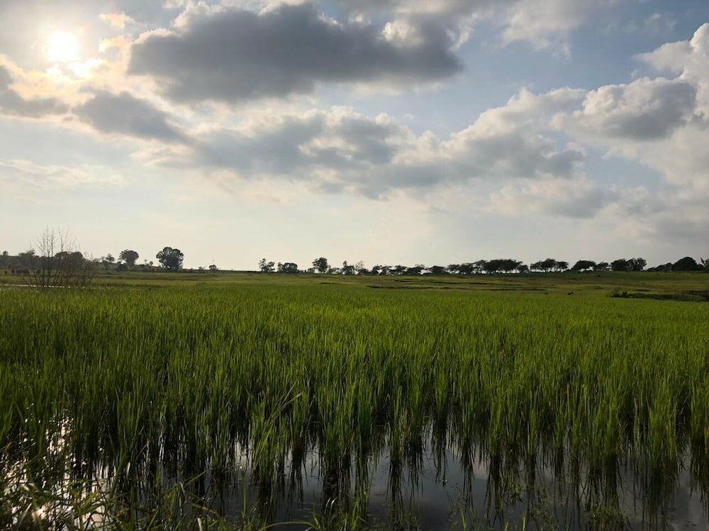 Фото Ananta Ecostays