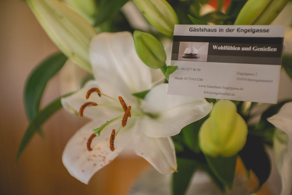 Фото Gästehaus Engelgasse