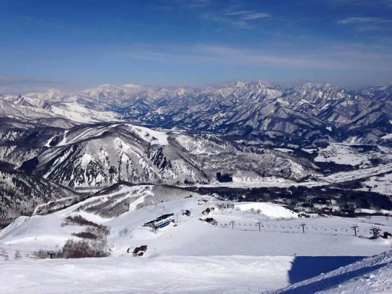 Гостиница Hotel Cultured Hakuba