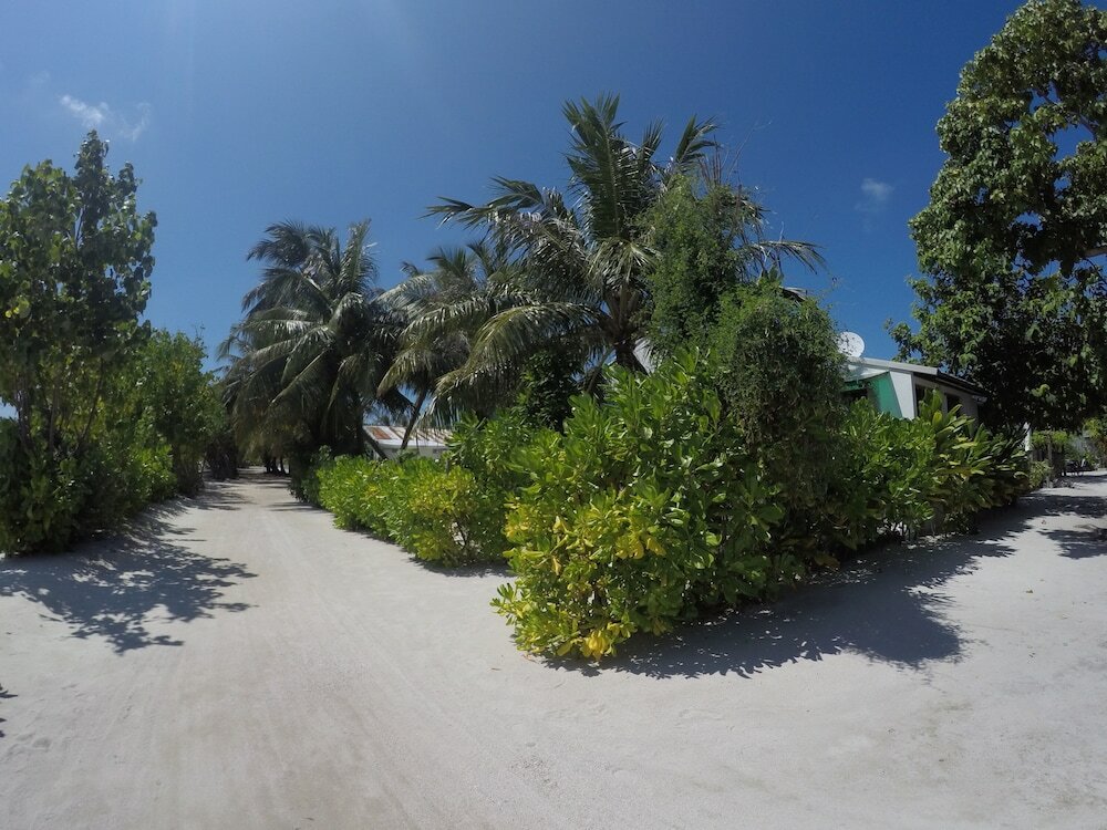 Фото Ithaa Beach Maldives