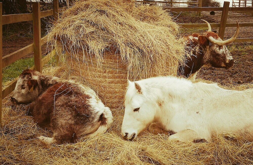 Фото Brampton Dales Farm B&b