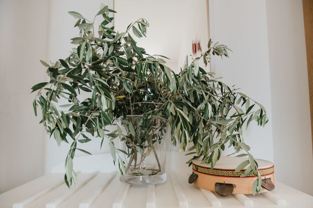 Фото Tenuta Flora Maria