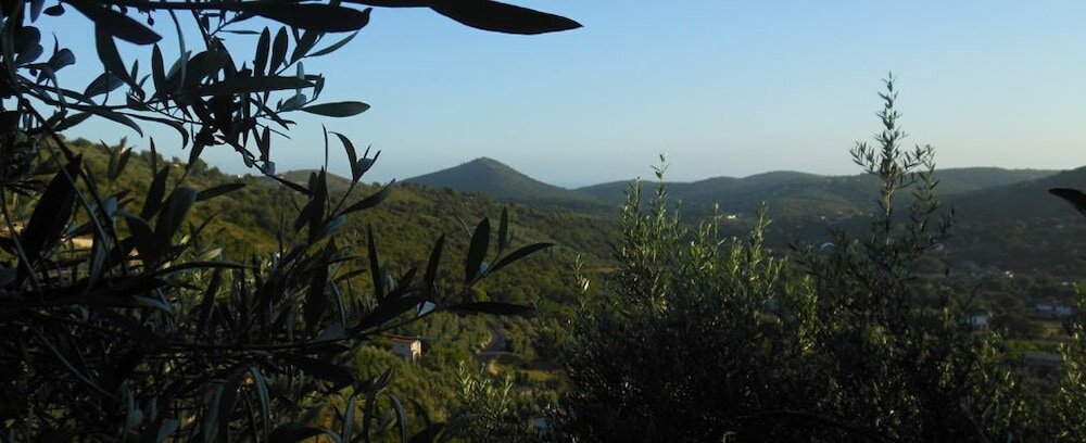 Фото La Maison Galu