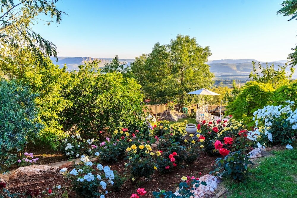 Фото Betzel Haella