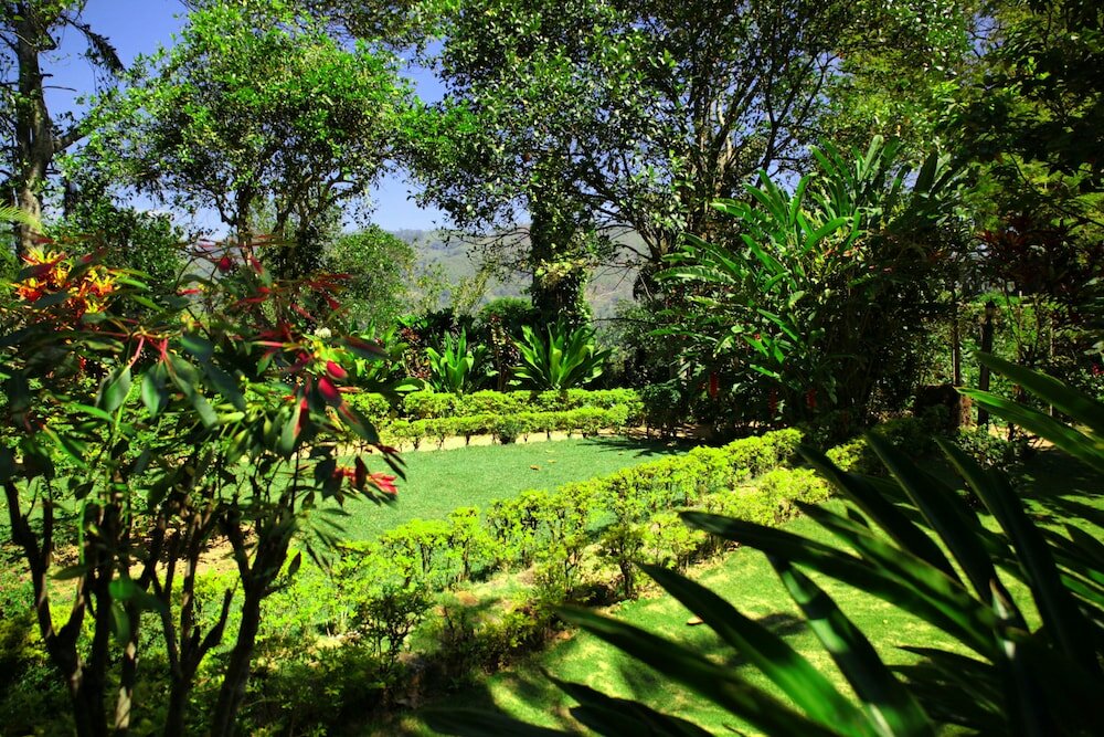 Фото Sunnyside Holiday Bungalow