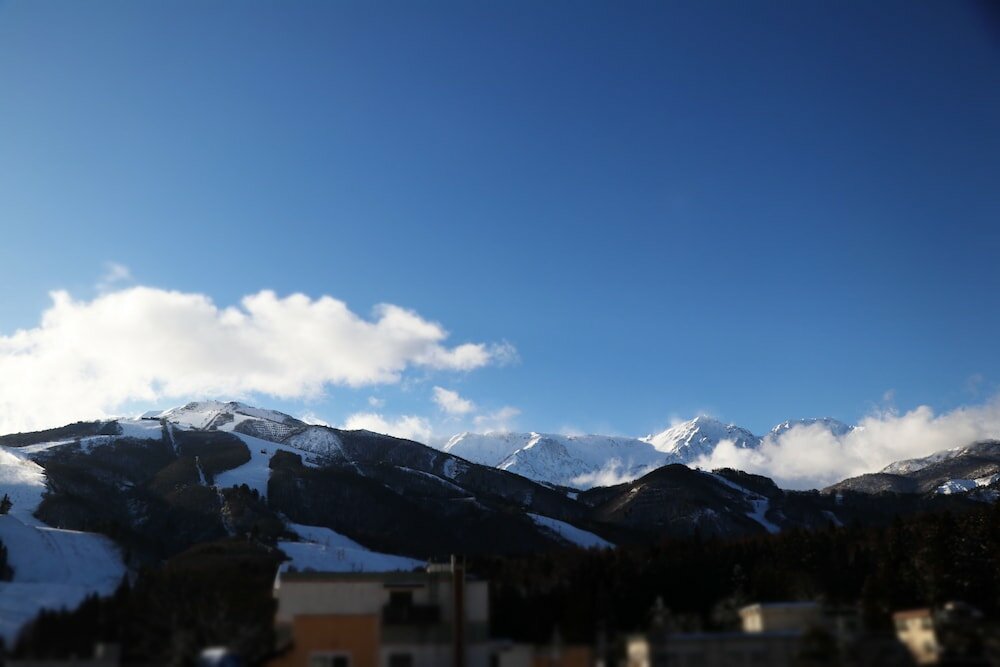 Фото Murano Hotel Shinya