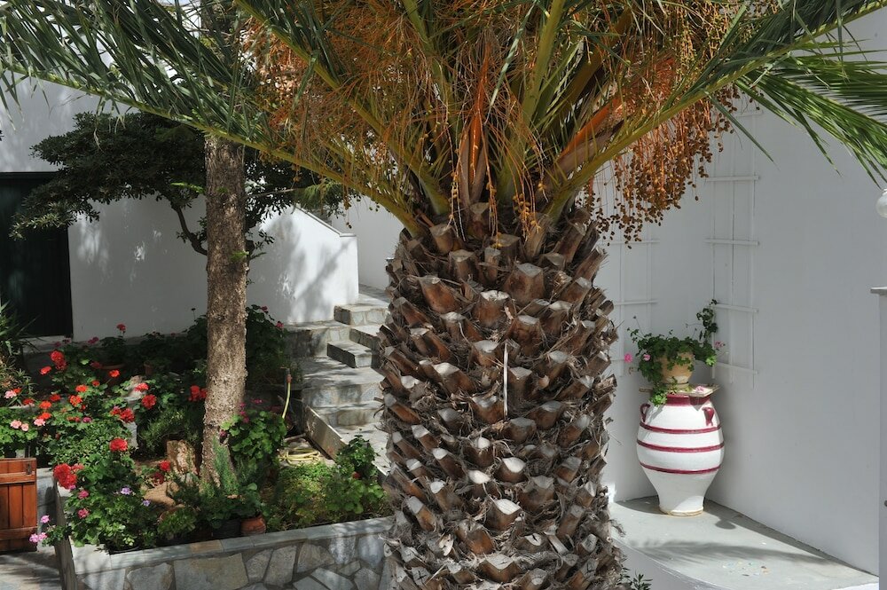 Фото Rallis Apartments