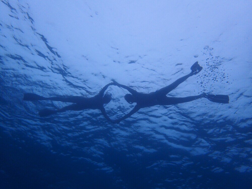 Фото SeaLaVie Inn