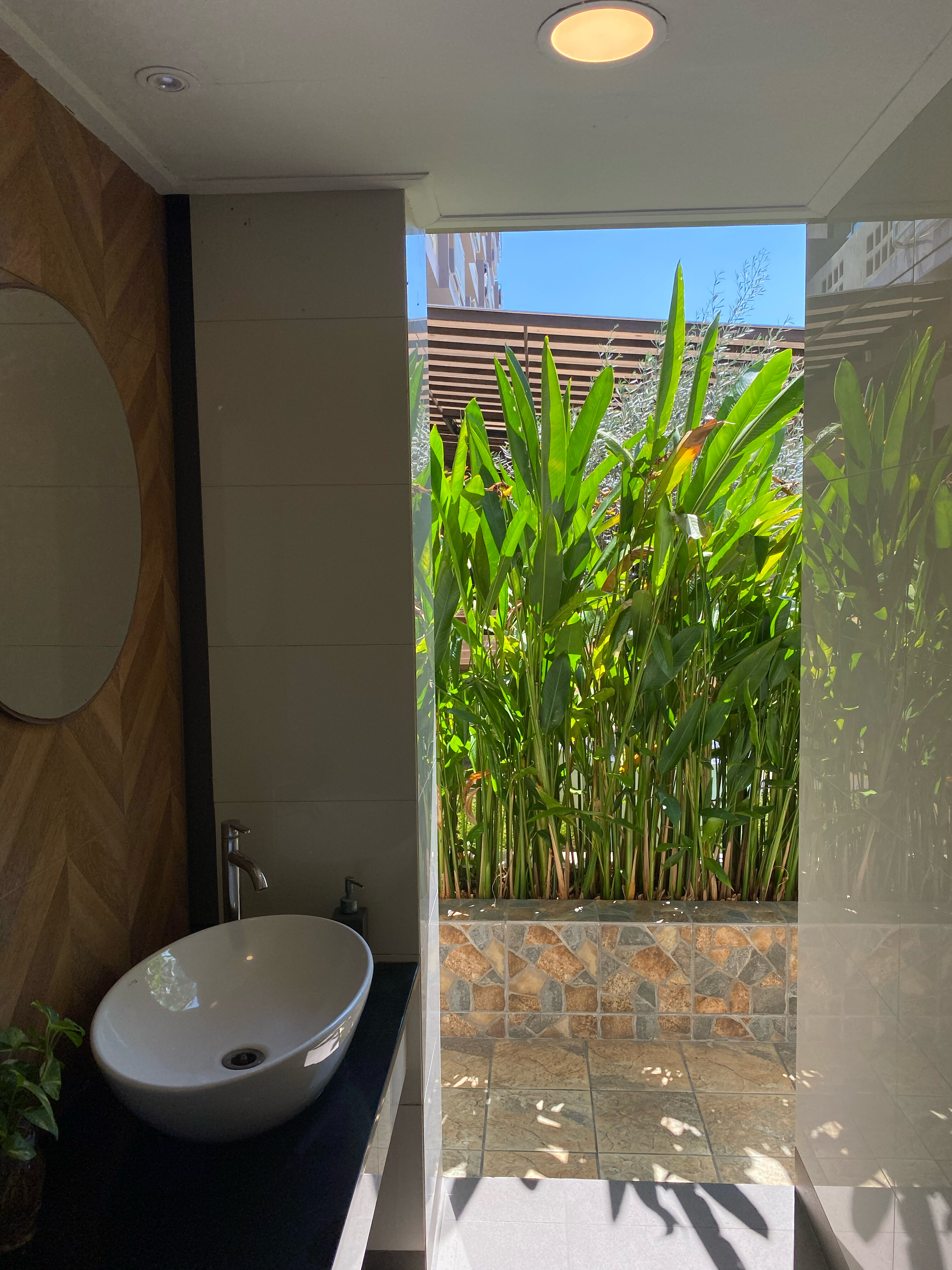 Фото Olive Tree Hotel