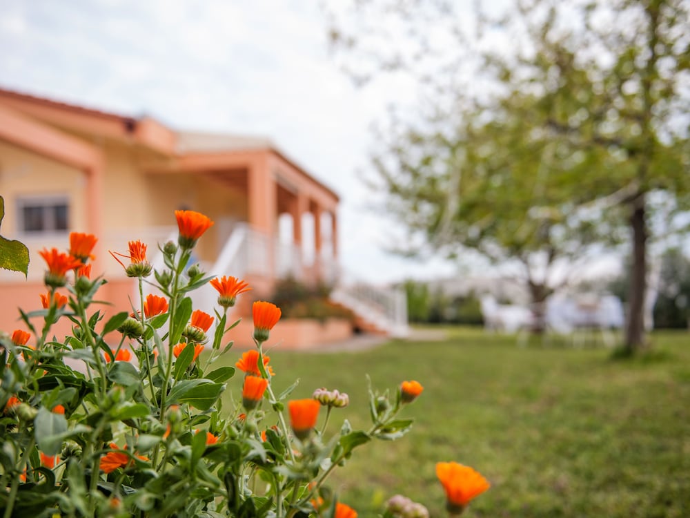 Фото Villa Elaia Mare