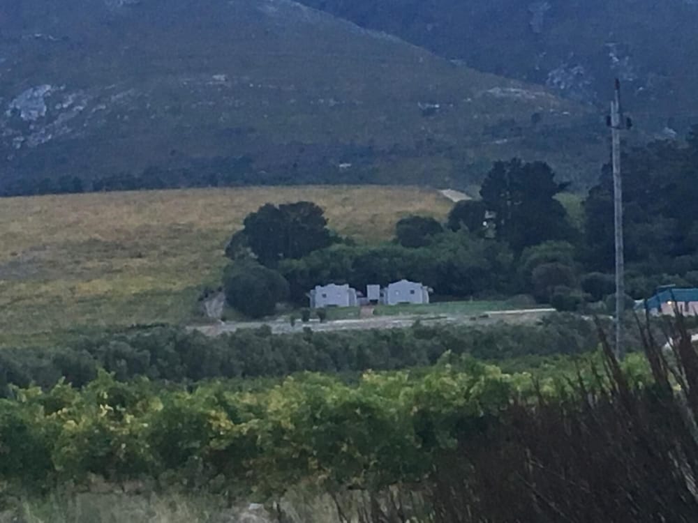 Фото Misty Mountains