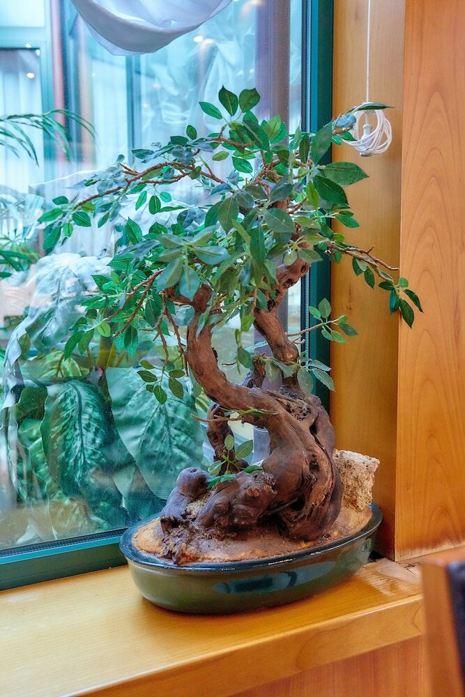 Фото Hotel Riviera dei Dogi