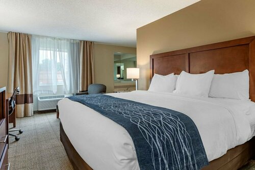 Гостиница Comfort Inn & Suites Diamondale – Lansing в Лансинге