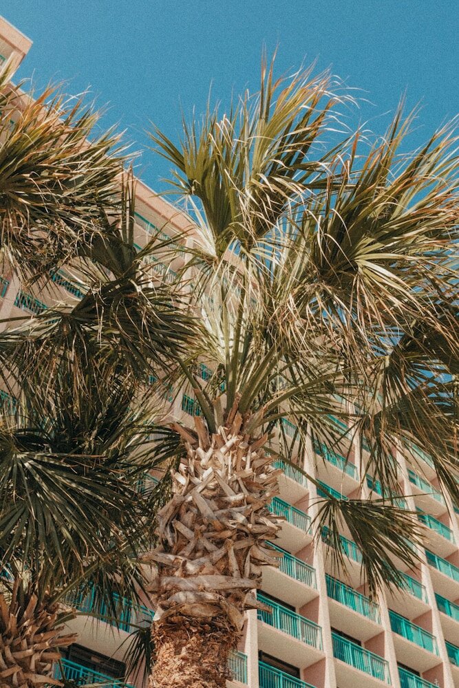 Фото Sandcastle Oceanfront Resort South Beach