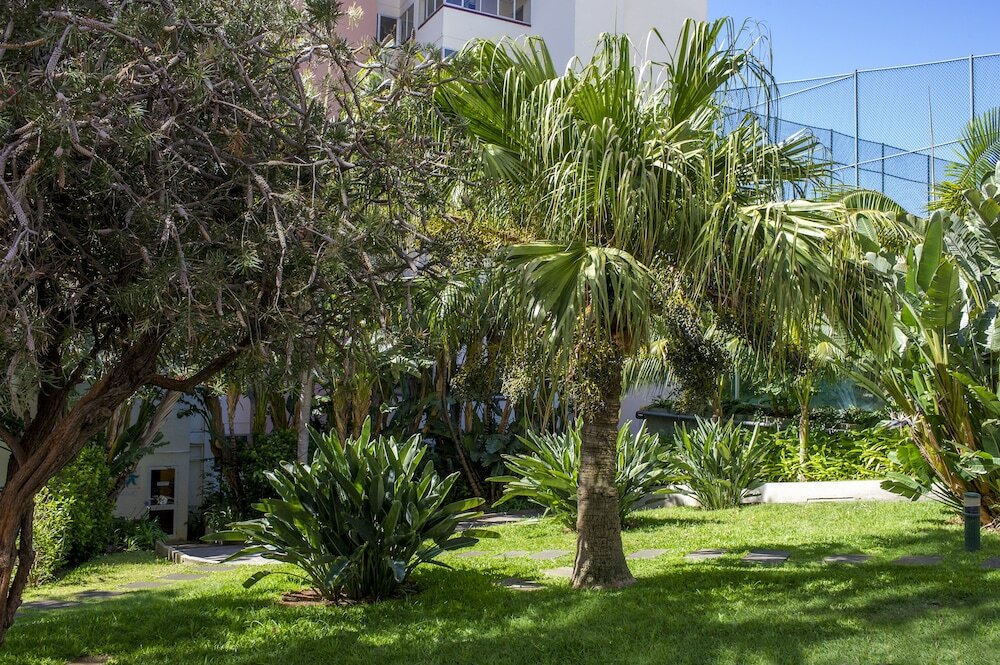 Фото Dorisol Buganvilia 