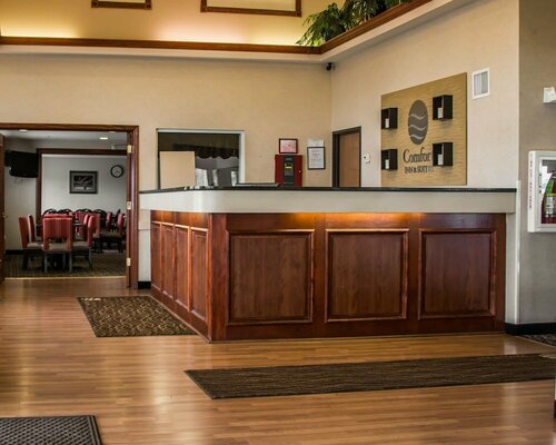 Гостиница Comfort Inn & Suites Diamondale – Lansing в Лансинге