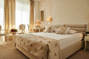 Гостиница Continental Forum Oradea