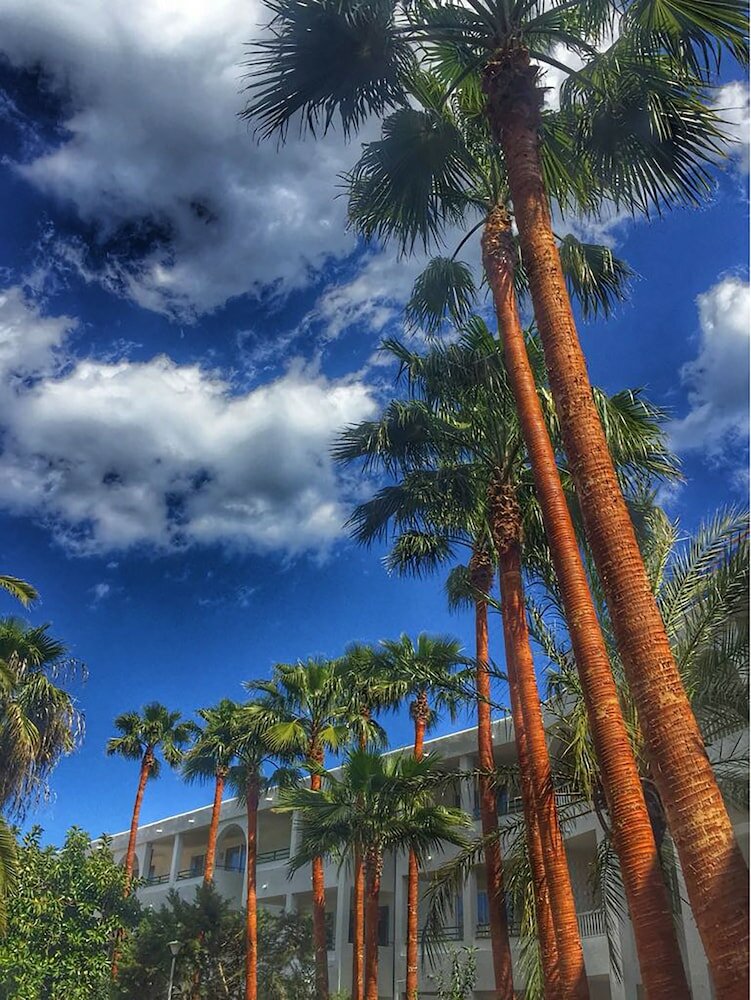 Фото Aparhotel Pierre & Vacances Mallorca Cecilia