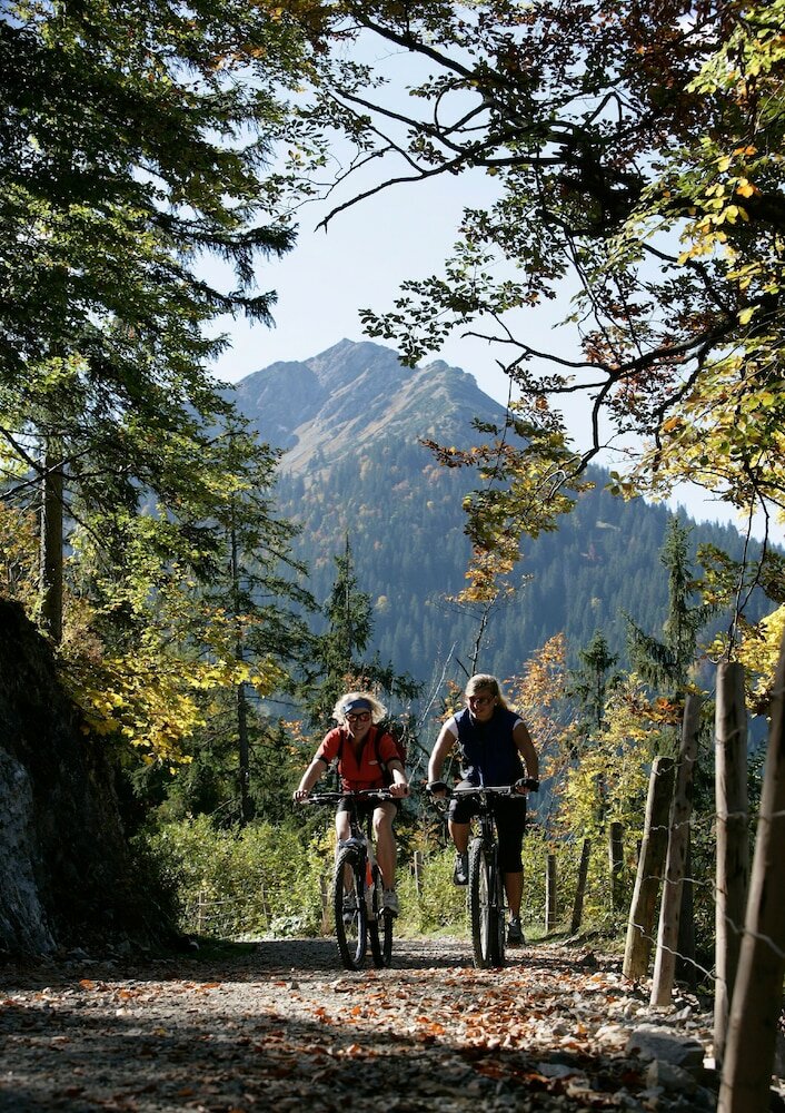 Фото Ferienwohnungen am Buchbrunnen