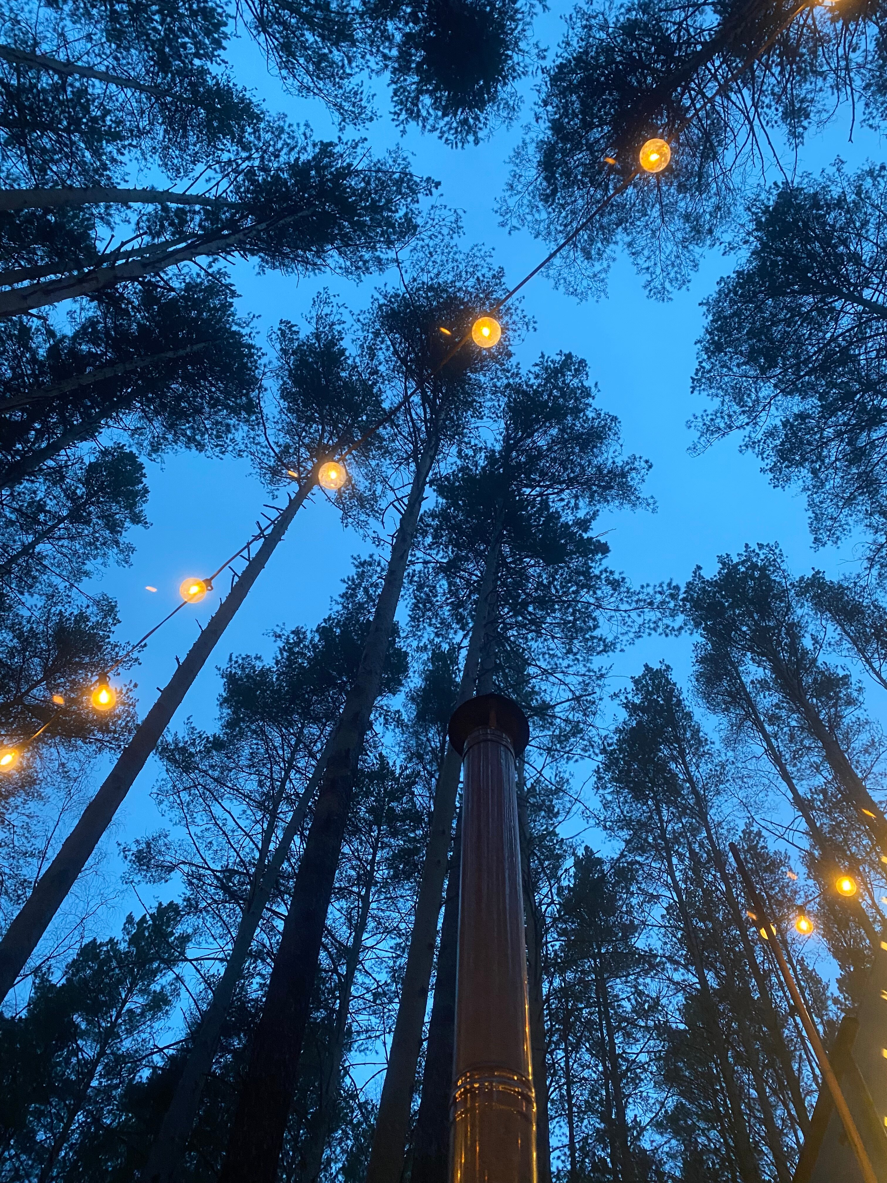 Фото Шелест Inn