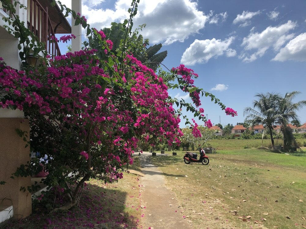 Фото Nadivana Serviced Apartments