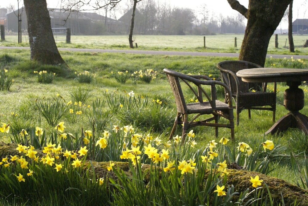 Фото De Heerlijkheid Ruinerwold