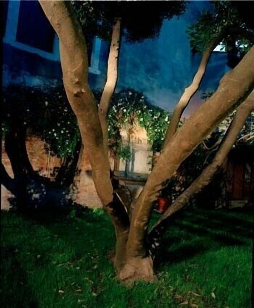 Фото Palazzo Soderini