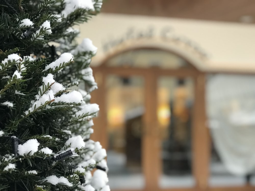 Фото Hotel Corso Am Graben