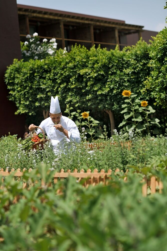 Фото Movenpick Resort & SPA Tala Bay Aqaba