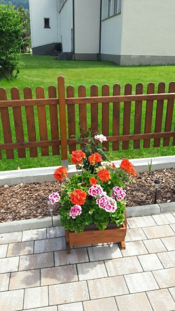 Фото Pension Haus Rohrmoser