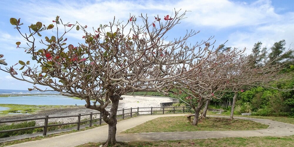 Фото Comfort stay Goyukkuri