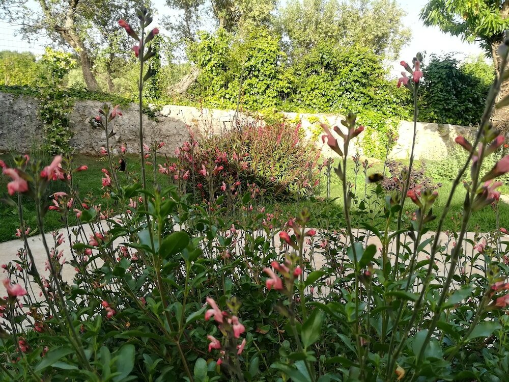 Фото Dimora il Mandorlo