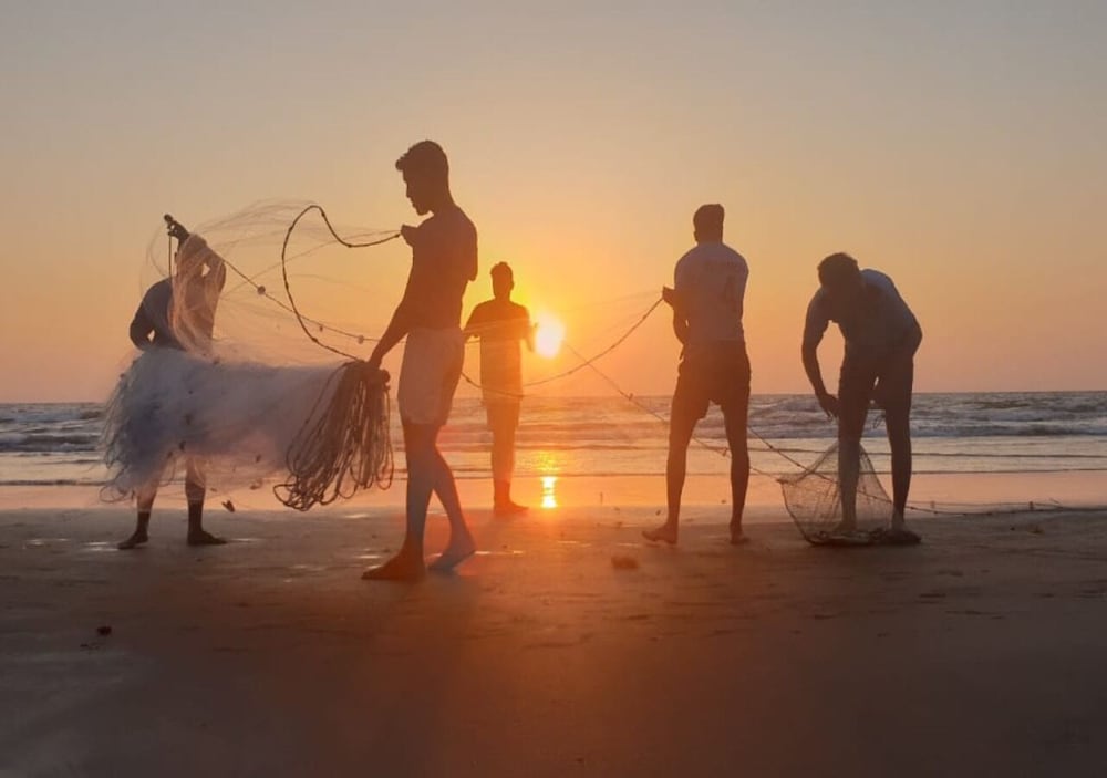 Фото The Regalia Resort