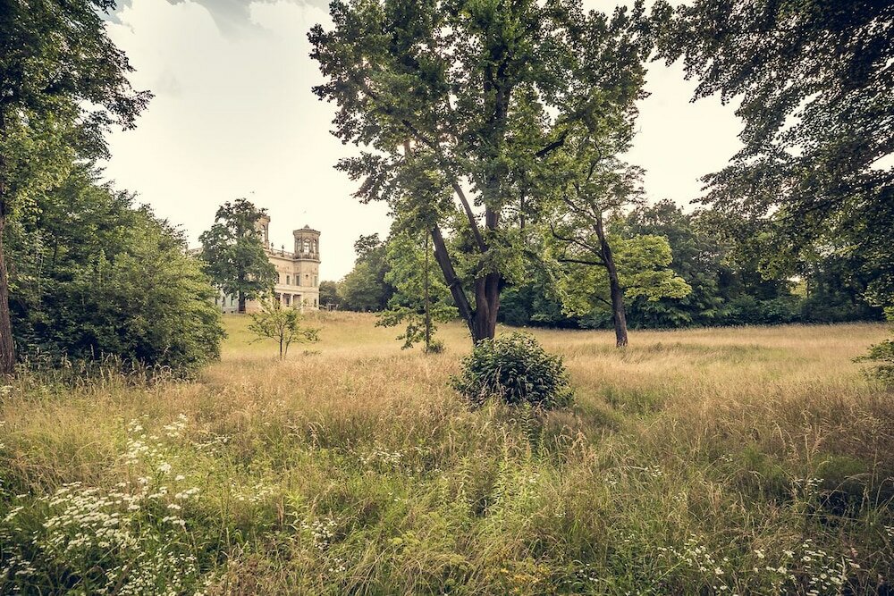 Фото Little Suite Apartments