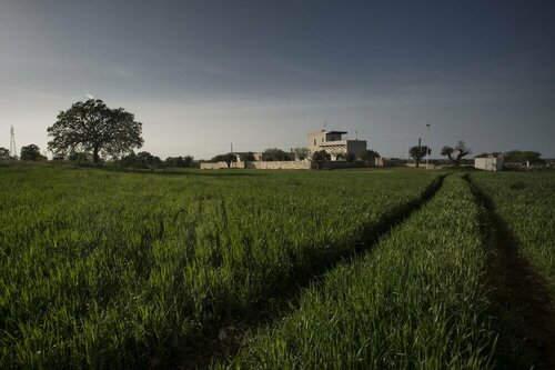 Гостиница Masseria Stella