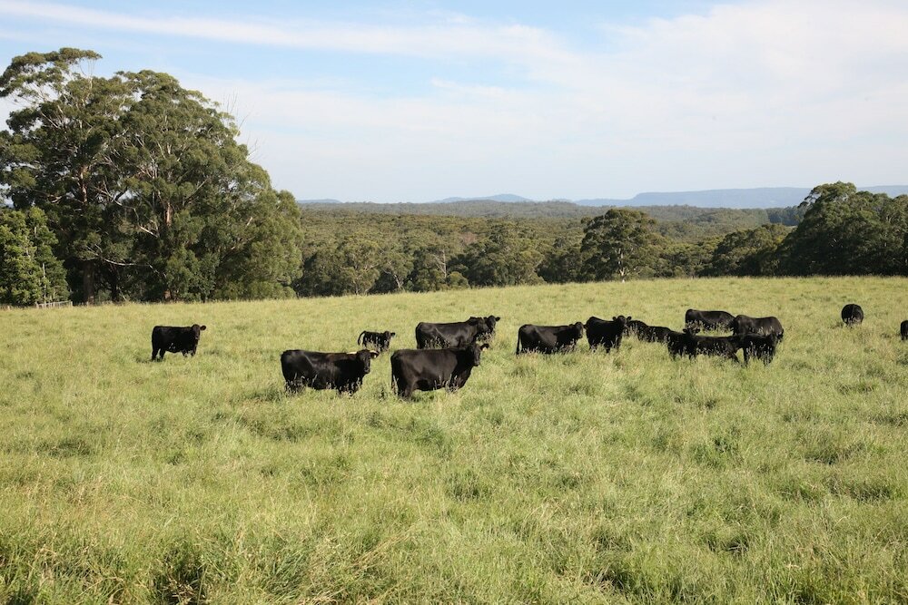 Фото Linden Hall