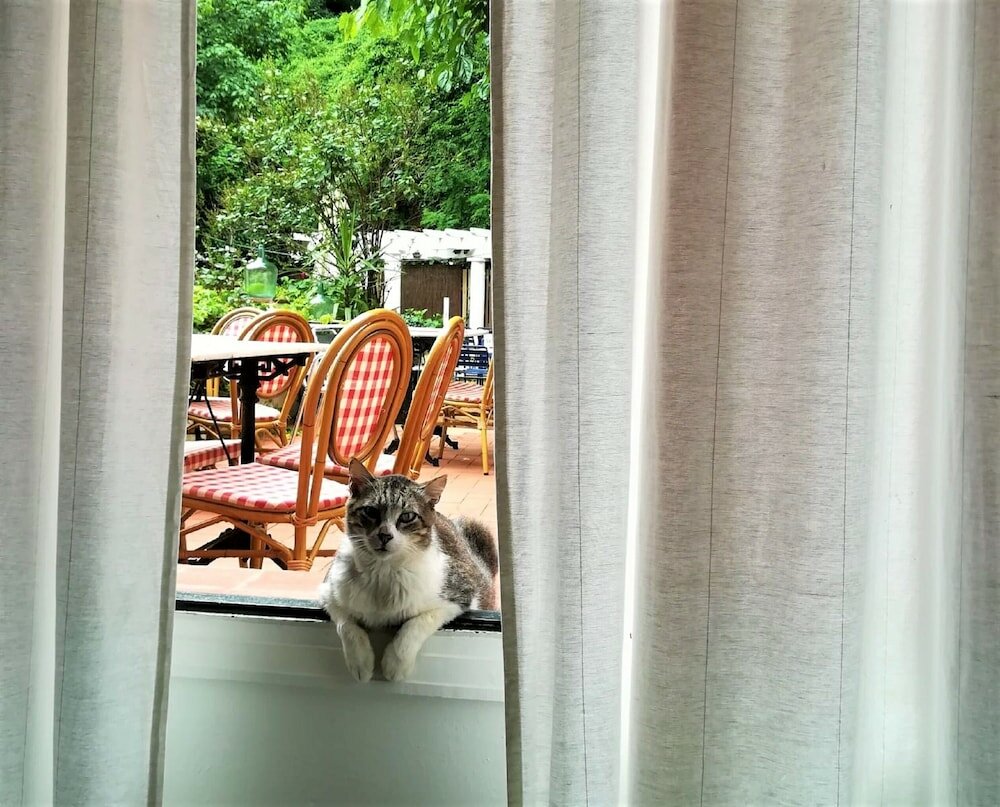 Фото Hostal Montsoliu