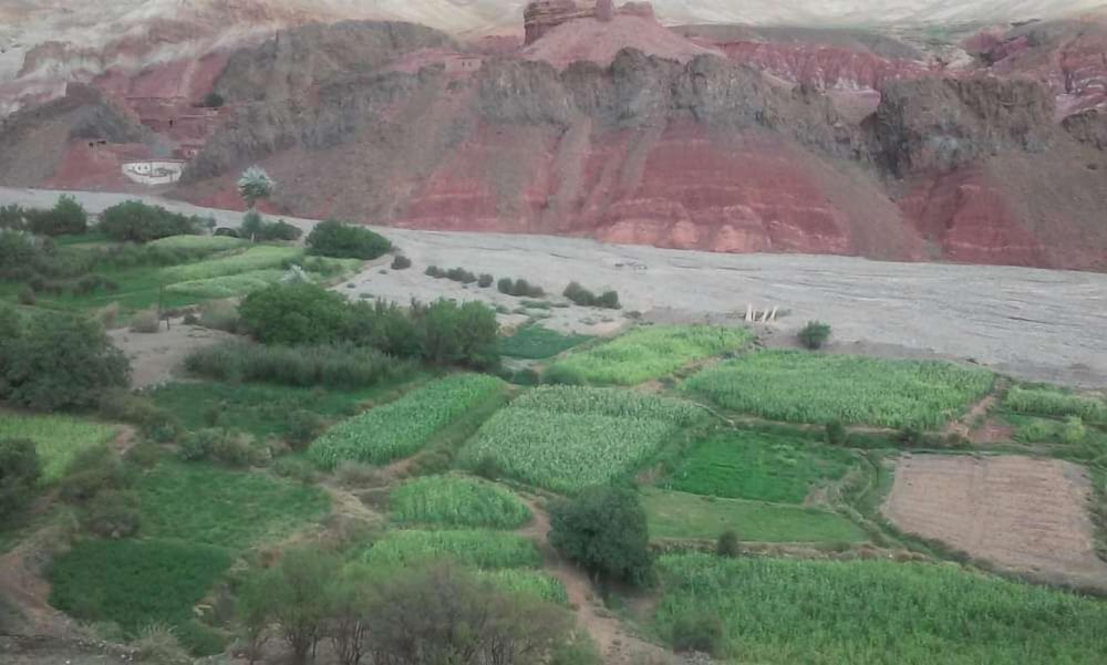 Фото Maison D'Hôtes Agdal