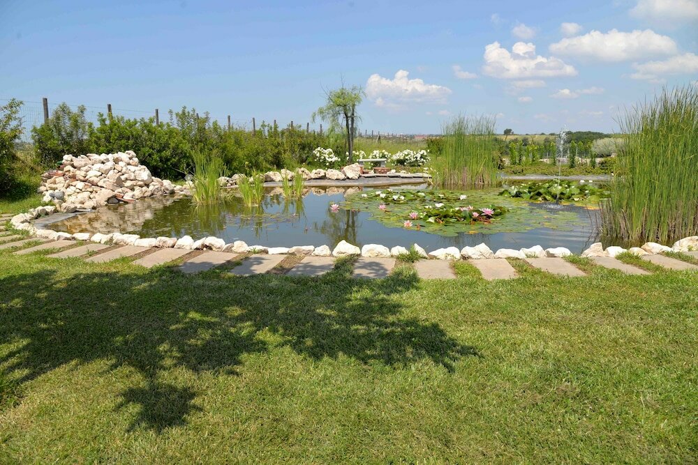 Фото La Collina delle Fonti