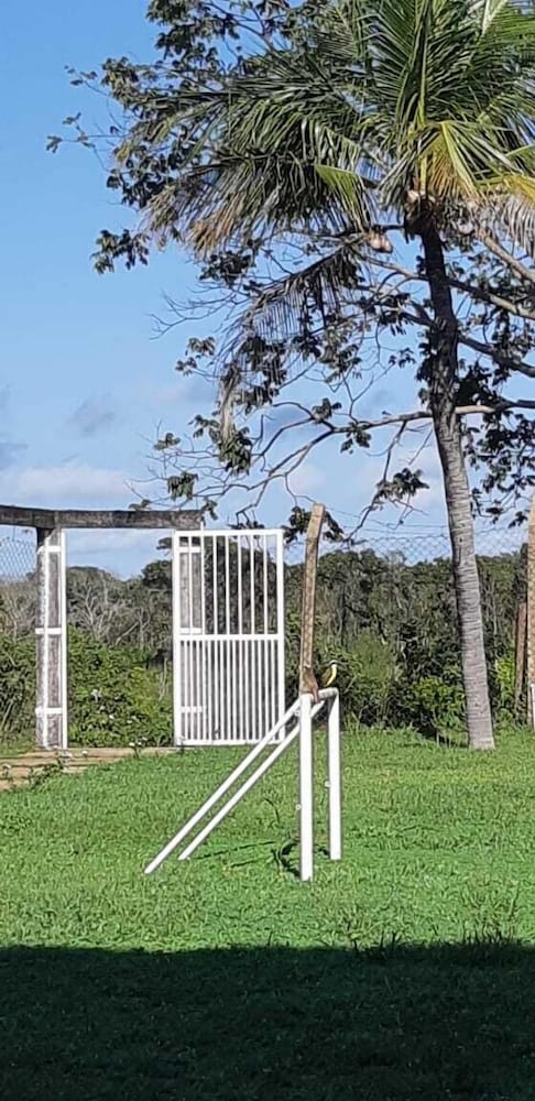 Фото Pousada Sonho Meu