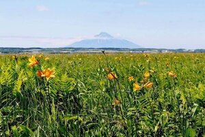 Гостиница The Stay Wakkanai